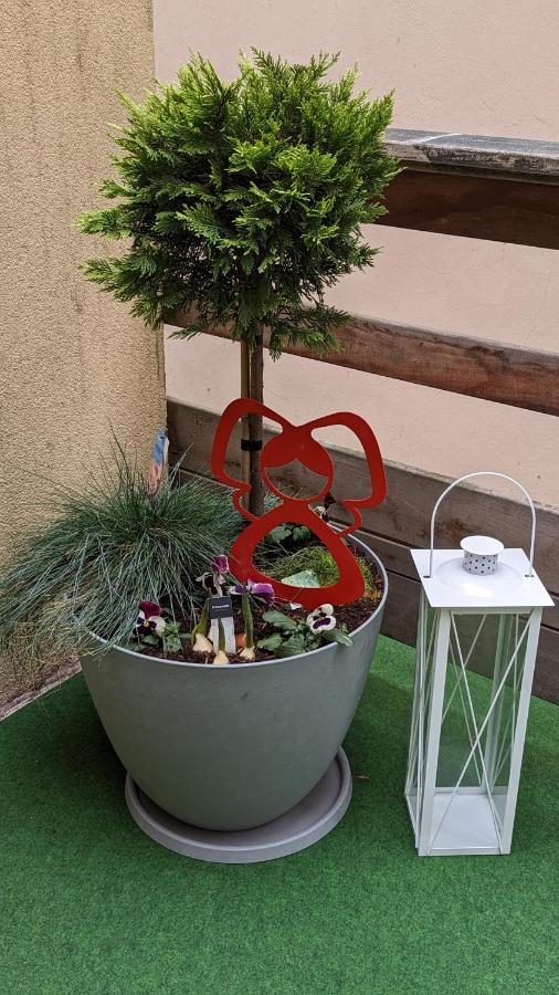 Appartement Chez Mar'Tine Niederbronn-les-Bains Exterior foto